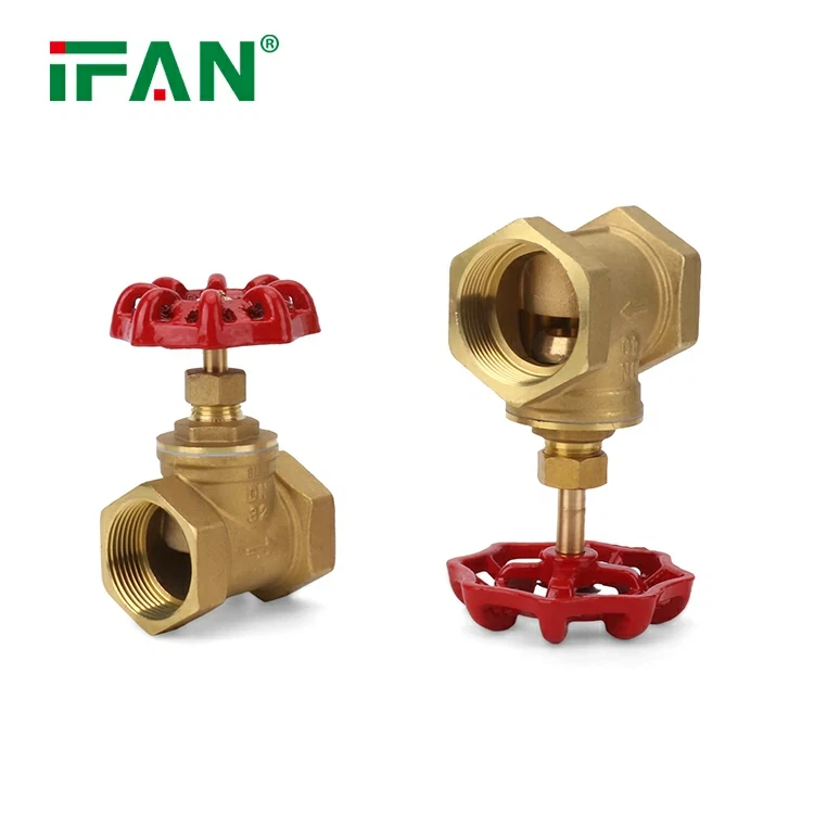 Brass Gate Valve (51)
